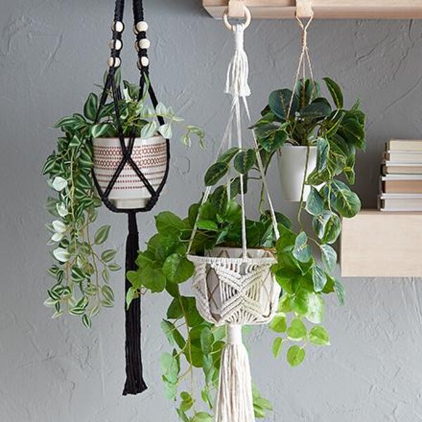 three plants hanging in macramé holders